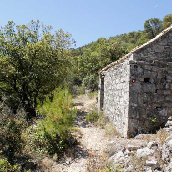 Property Featured Image